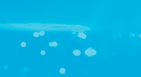 specs-blue-background