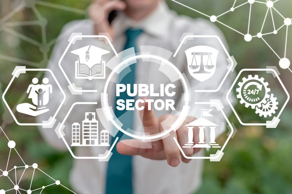 public sector 