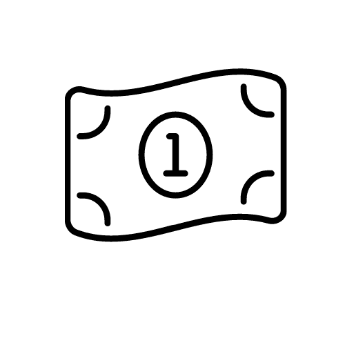 currency icon