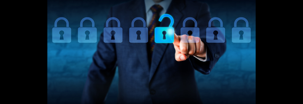 Cyber security locks 