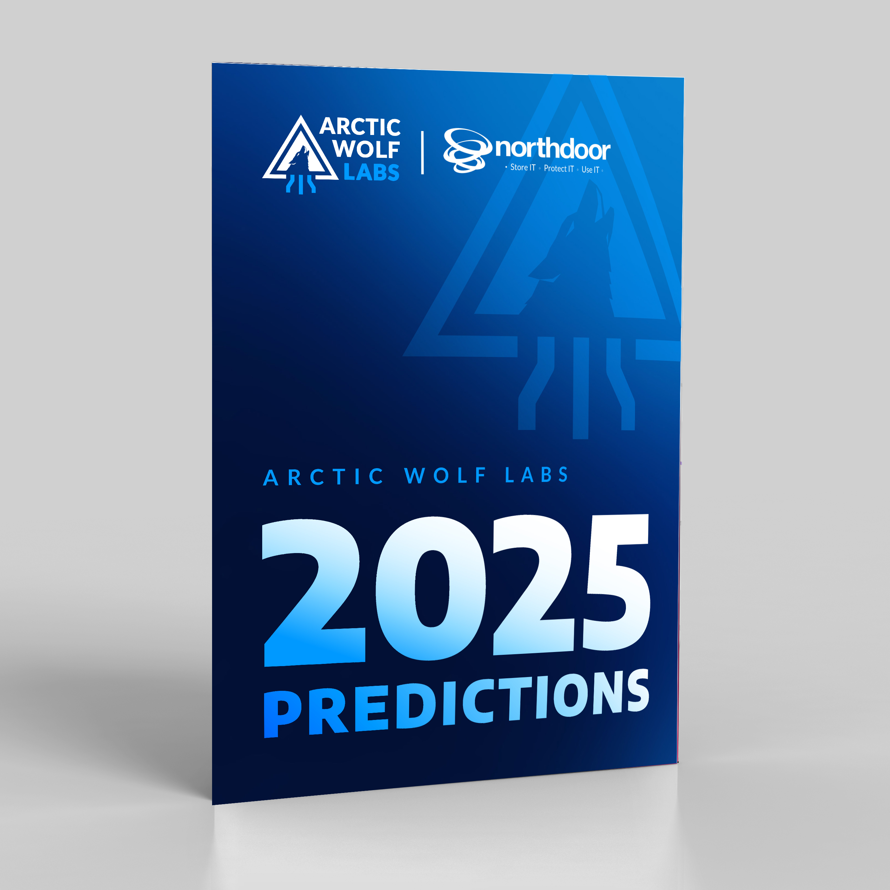 Report- 2025 Arctic Wolf Labs Predictions